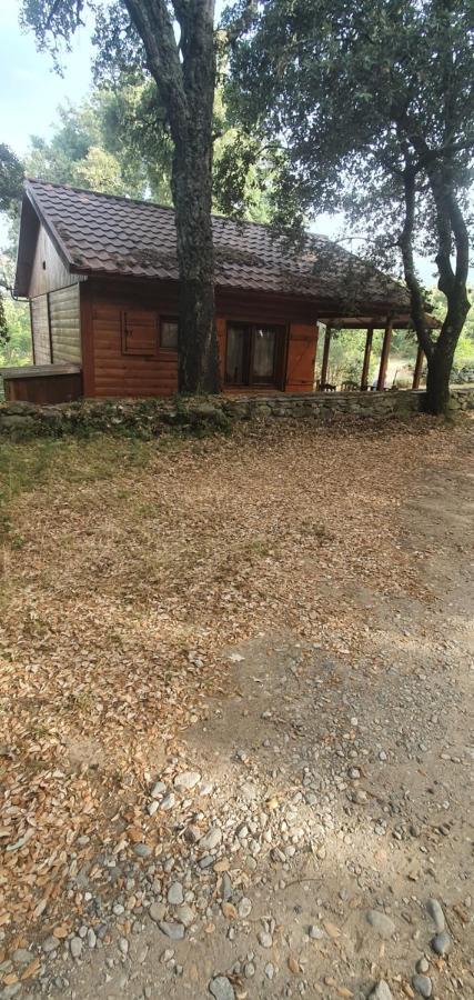 Chalet De Santa Βίλα Corte  Εξωτερικό φωτογραφία